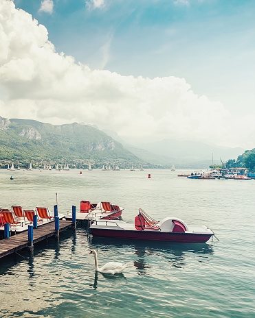 Annecy lake view with paddle boats and beautiful swan - Haute-Savoie