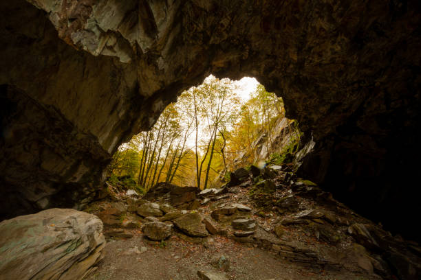 istock Birch trees outside cave in Hodge Close Quarry 1356727858