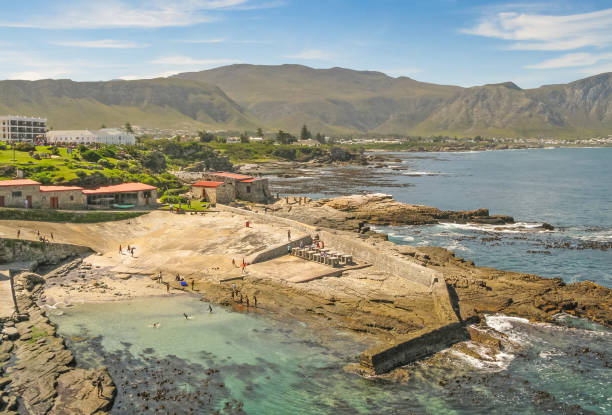 istock The Old Fishing Harbour at Hermanus 1356739365