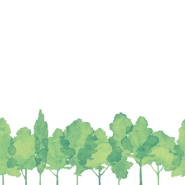 ilustraciones, imágenes clip art, dibujos animados e iconos de stock de acuarela árboles verdes fondos sin costuras - evergreen tree pine tree painted image watercolour paints