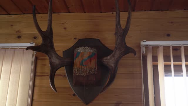 Deer antlers on the wall inside a wooden decoration house. Hunting House