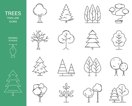 Tree Thin Line Icon Set
Black and white thin line tree icons isolated on a transparent background.