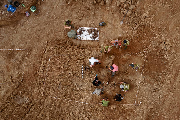 ausgrabungen am ort eines kriegsverbrechens. ort einer massenerschießung von menschen. menschliche überreste knochen von skelett, schädel . menschliche überreste von opfern der nazis. 28.08.2021, region rostow, russland - mass murder stock-fotos und bilder