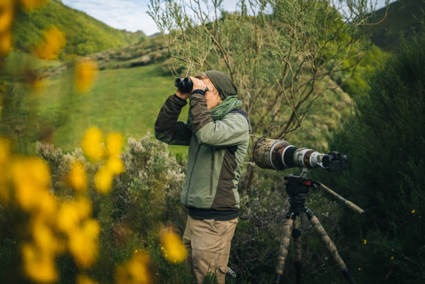 istock Photographer uses binoculars in a mountain meadow 1356749845