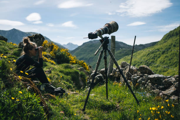 istock Photographer uses binoculars in a mountain meadow 1356749873