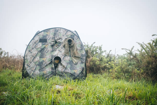 ślepy myśliwy z kamerą na bujnej łące - hunting blind zdjęcia i obrazy z banku zdjęć