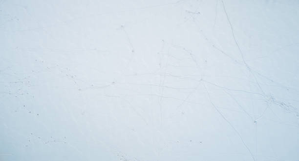 istock Winter fishing theme 1356750038