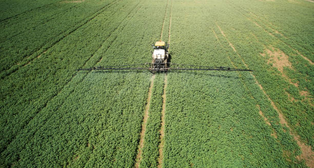 istock Farmer spray pesticides on crops 1356750053