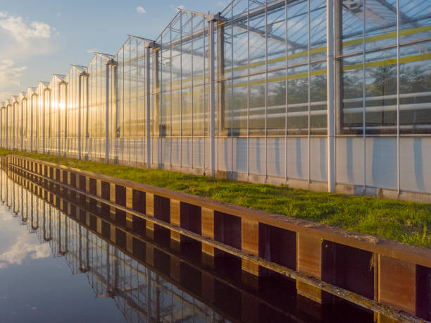 side view of a modern agricultural greenhouse in the Netherlands stock photo
