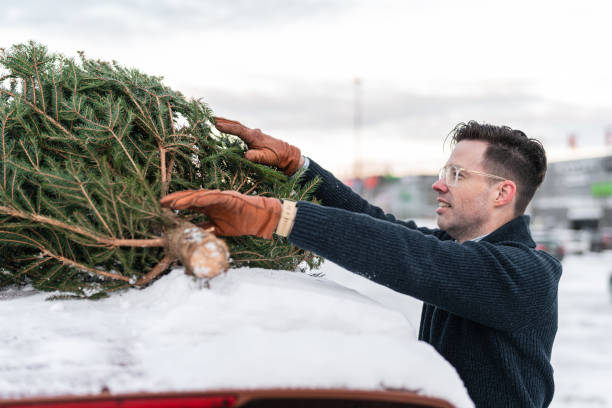 istock Tying a Christmas tree to the roof 1356753966