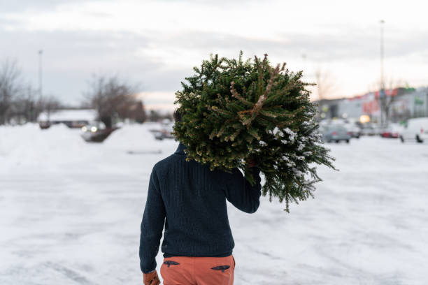 carrying a christmas tree on the shoulder - swedish christmas bildbanksfoton och bilder
