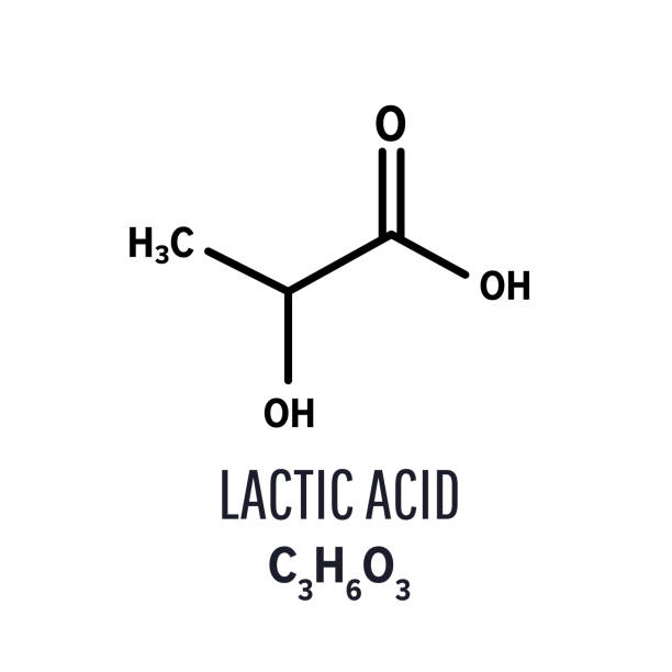 ilustraciones, imágenes clip art, dibujos animados e iconos de stock de estructura molecular del ácido láctico. fórmula química esquelética de ácido láctico. ilustración vectorial - hydrogen bond