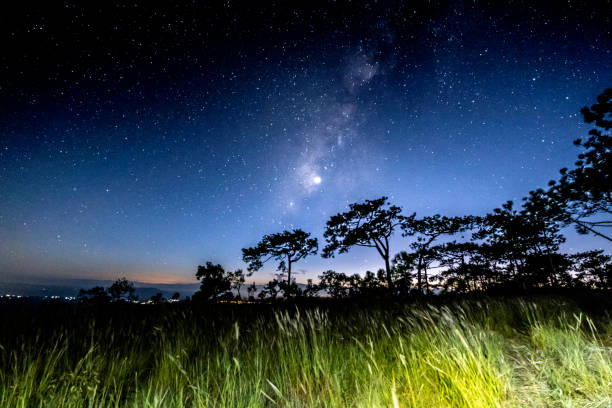 istock Landscape Milky Way with starry night 1356759868