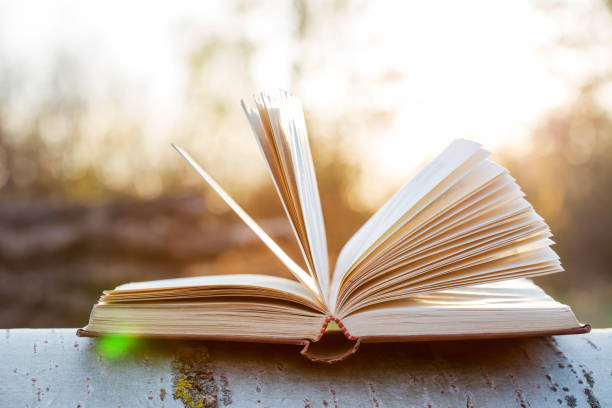 istock Education and wisdom concept - open book under sunlight 1356760617