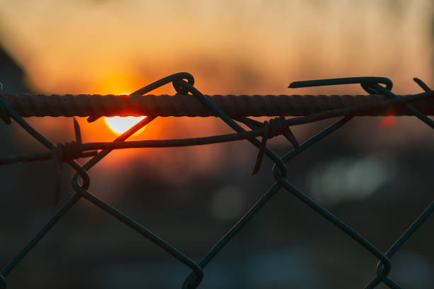 A grating with barbed wire in the evening at sunset as a symbol of imprisonment, unfreedom stock photo