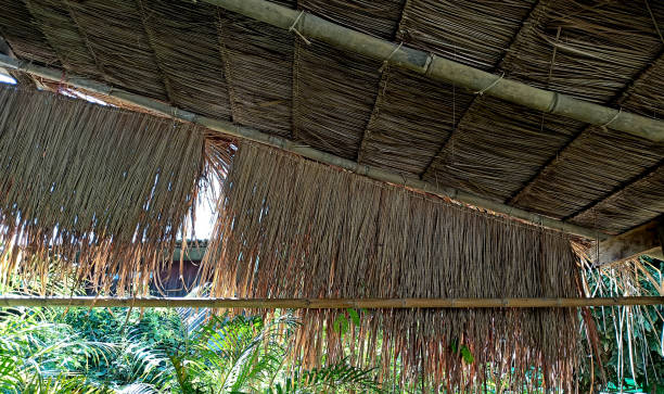 istock roof made of dry grass 1356768823