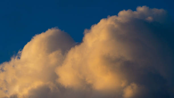 Cumulus with yellow hues