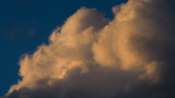 istock Cumulus with yellow hues 1356776585