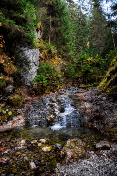istock Mountain stream Demanovka in valley called Dolina Vyvieranie at Slovakia 1356777964