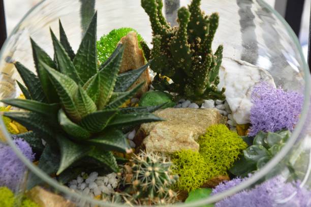 istock Still life of flowers 1356778034