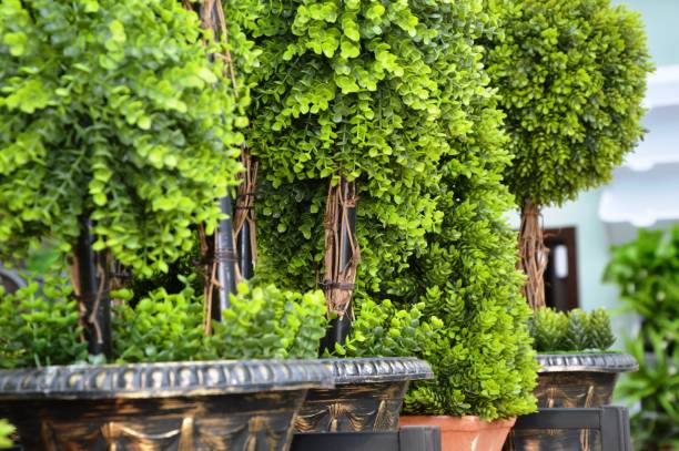 istock Landscaping of the territory 1356778111