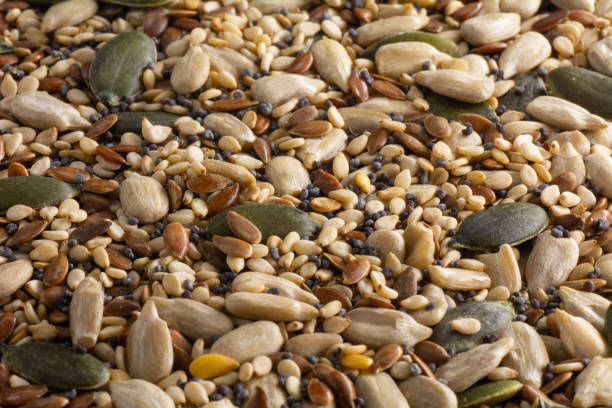 istock Seeds mix background. Close-up 1356781325