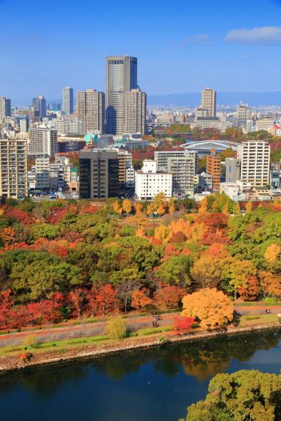 istock Osaka city autumn skyline 1356782695