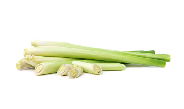 istock Fresh lemongrass on white background 1356782805
