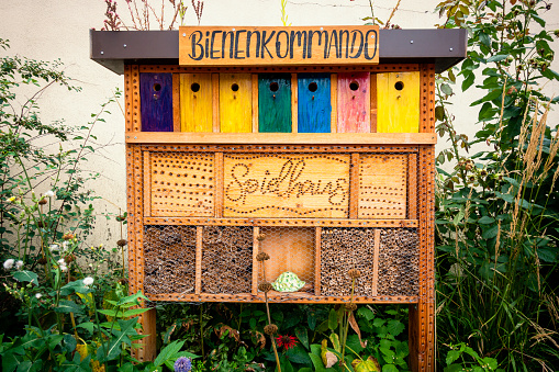 insect hotel