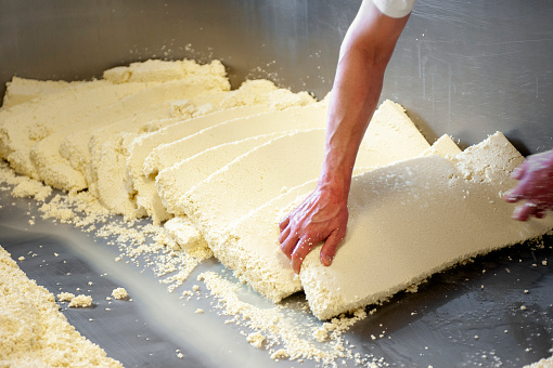 Cheese being made at a dairy farm. Washing, cutting, inspecting.
