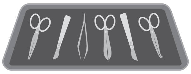 Tray of Surgical Instruments vector art illustration