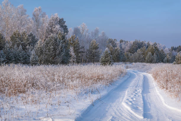 istock road snow forest frost winter 1356792151