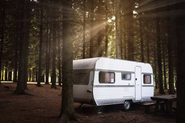 caravane blanche dans la forêt - motor home camping mobile home vehicle trailer photos et images de collection