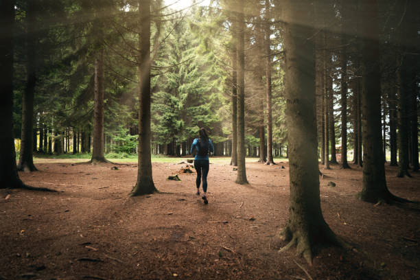 istock In the forest, unrecognizable active female athlete running 1356792266