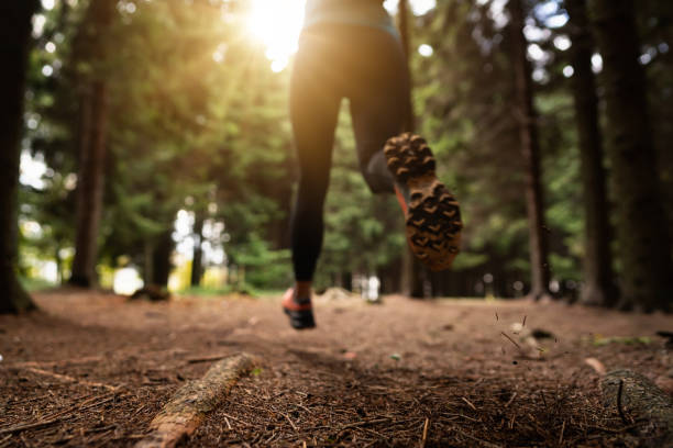 istock Unrecognizable active woman running in the forest 1356792306