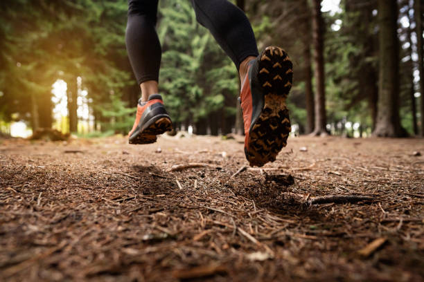 In winter running sports shoe, woman running in the forest stock photo