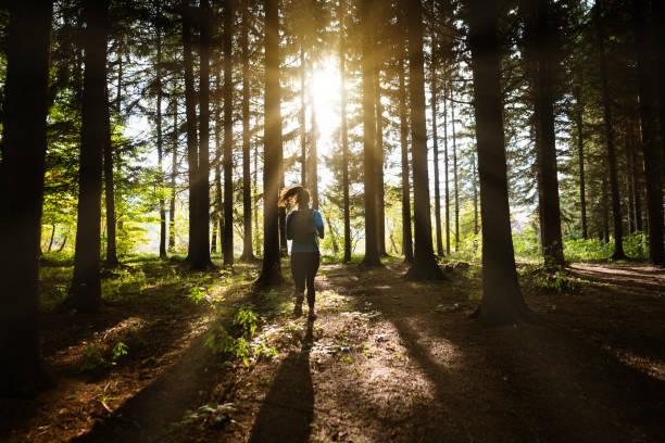 istock In the Pinaceae forest, unrecognizable Caucasian young woman running 1356792363