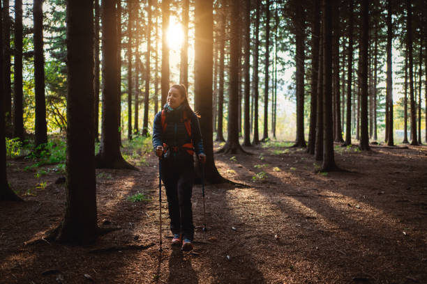 istock Female hiker, admiring the majestic forest 1356793251