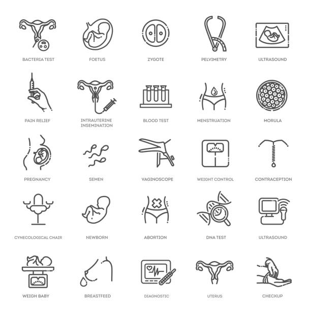 Obstetrics pregnancy vector line icons research, in vitro fertilization, ultrasound Vector set of icons. Gynecology, gynecological problem and disease gynecology stock illustrations