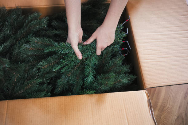 Woman hands taking an artificial christmas tree branches out of a large cardboard box stock photo