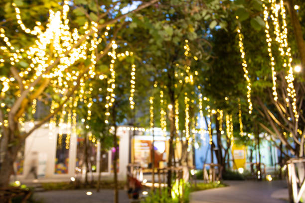 istock blurred image Decorative outdoor string lights hanging on tree in the garden at night time festivals season - decorative Christmas lights - happy new year 1356796590