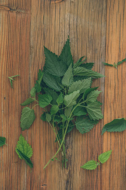 istock View of green leafs on wood table at home 1356799265