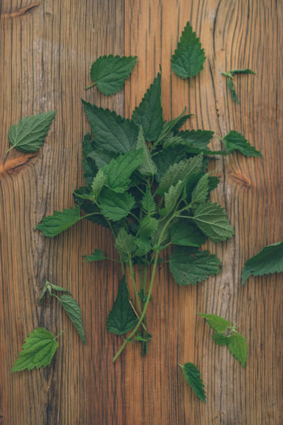 istock View of green leafs on wood table at home 1356799272