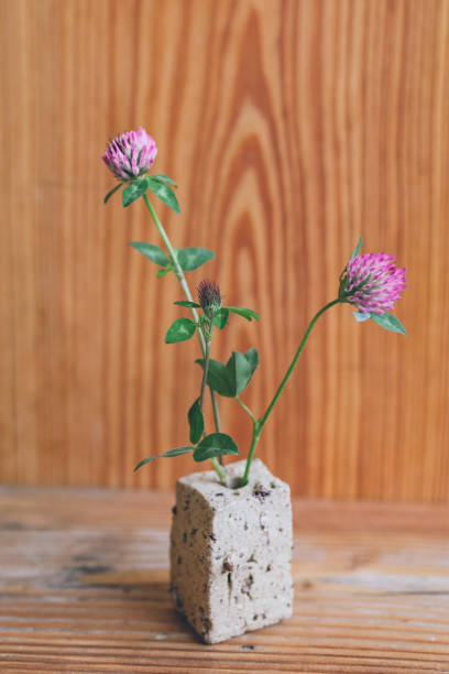 istock View of wildflowers on table at home 1356799476