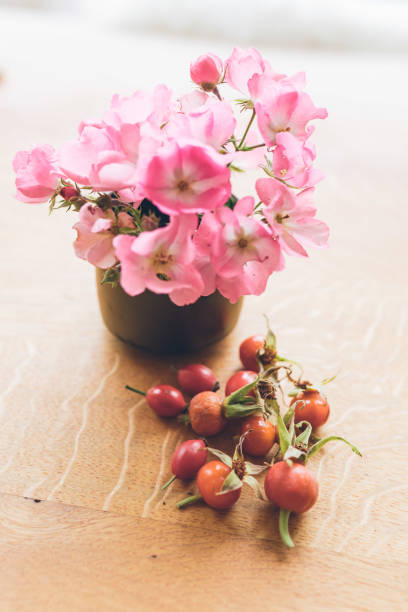 istock View of wild roses and rose hips on table 1356799572