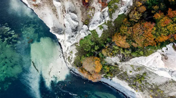 Drone’s eye view looking straight down onto the trees at the top of the cliff and down to the waters edge over a 100m below. Photographed in the early autumn on the island of Moen in Denmark. Colour, horizontal format with some copy space.
