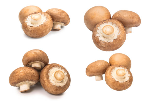 istock Tasty mushroom isolated on white background. 1356800346