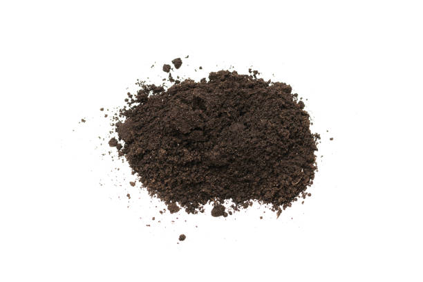 istock Black land for plant isolated on white background. 1356800369