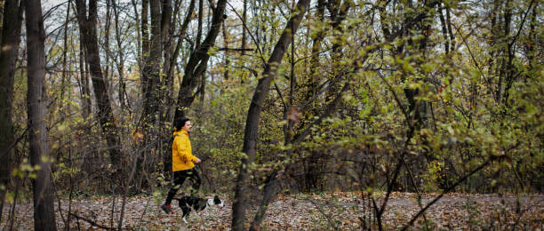 istock Young man trail running in the forest with his dog 1356801201