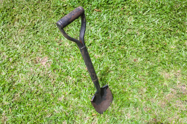 istock Shovel used in gardening or construction 1356801544